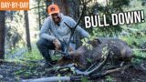 Opening Day BULL ELK!  | A Wyoming Backcountry Elk Hunt with Llamas (Ep.2)