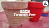 Paint Terracotta Clay Pots for New and Neat Look.