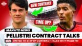 Pellistri Contract Talks | El Ghazi Rumour Rubbished! Sancho Future Uncertain Man Utd News