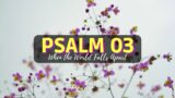 Psalm 03 When the World Falls Apart – Female Voice