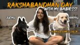 RAKSHABANDHAN DAY WITH MY BABIES Ft Juchu AND Happu | KANNADA  VLOG | #kannada  #kannadavlog