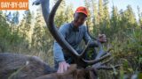 Randy's Bull! | An EPIC Backcountry Elk Hunt! (ep.4)