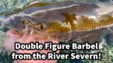 River Severn Barbel Fishing BIG BRACE Inc 1st DOUBLE of the Season – Lots Barbel & Chub bites EP11