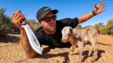 SOLO SURVIVAL – TURNS INTO A RESCUE MISSION! New Pet Goat?