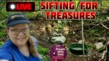 Saving Cellar Hole Treasure Hunt