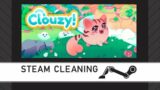 Steam Cleaning – Clouzy!