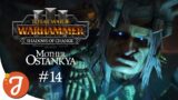 THE BRASS BULL BANISHED (Steer Clear) | Mother Ostankya #14 | Total War: WARHAMMER III