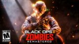 THIS is Black Ops 2 Zombies REMASTERED.