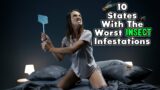The 10 States with the Worst Insect Infestations