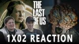 The Last of Us 1X02 INFECTED reaction
