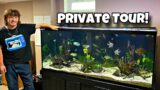 This Fish Hobbyist Gives Tour Of His Basement Aquariums!