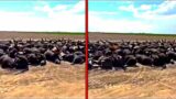 This Rancher Just Sent Out a Chilling Message After Making This Discovery on His Private Ranch