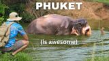 This is why Phuket is my favorite Island in Thailand!