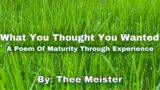 Title: What You Thought You Wanted | A Poem Of Maturity Through Experience | By Thee Meister