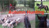 Truffle's 1st Autumn Hunt | 7yo ROR Irish TB | Equestrian