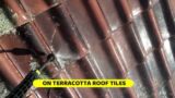 USING KARCHER PRESSURE WASHER TO CLEAN TERRACOTTA ROOF TILES
