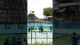 Unbelievable Water ParkAdventure! Don't Miss Out!#Viral