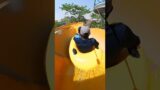 Water Park Slide at Funtasia Patna #shorts #waterpark #2023