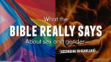 What the Bible Really Says About Sex and Gender (According to Scholars)