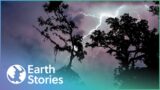 Why Are Storms Becoming More Volatile? | Mutant Weather | Earth Stories
