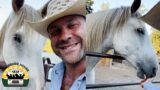 Yeehaw! The rescue horses have finally arrived | The Asher House