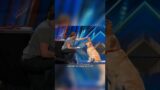 You will be amazed by this dog on America’s Got Talent! #agt #dog