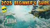Zelda: Tears of the Kingdom | 2023 Guide for Complete Beginners | Episode 1