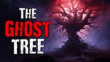 "The Ghost Tree" Scary Stories from The Internet | Creepypasta