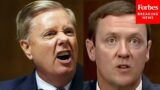 ‘Do You Know When This War Is Going To Be Over?’: Lindsey Graham Questions Key Biden Nominees