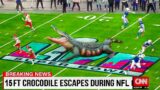 12 CRAZIEST Moments in NFL History