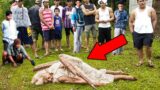 20 SCARIEST Things That Fell From The Sky