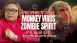 2024 BEWARE! MONKEY VIRUS BIO/CHEM WARFARE & ZOMBIE SPIRIT PLAGUE || DR. MATTIE NOTTAGE