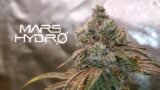 8 Plants In A 4×4 Tent HARVEST + Weeks 4-9 of Flower – The Mars Grow: S5 EP4 | Smart FC-E6500