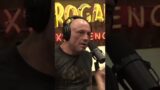 Against All Odds: Joe Rogan's Riveting Conversation with Mark Normand, Shane Gillis, and Ari Shafer