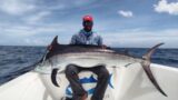 Black Marlin on a Jig with Andaman Angler!