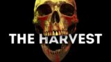 Can You Handle the Job? The Harvest