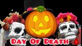 Day of death #halloween #drive #decoration #decor