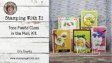 Di's Shorts  – Taco Fiesta Class in the Mail Kit