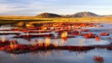 Discovering Mongolia's Mystical Uvs Lake | Lakes on the Roof of the World