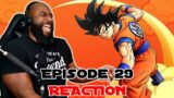 Dragonball Z Abridged | Episode 29 Reaction