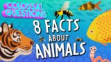 Everything You Ever Wanted to Know About Animals!! (8 Questions Answered) | COLOSSAL QUESTIONS