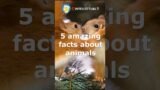 Facts: Interesting, Animals #shorts