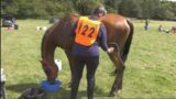 Farouk has a good drink of water & a bite to eat before he passed his 2nd vetting. A 40 min stop now