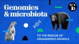 Genomics and microbiota to the rescue of endangered animals