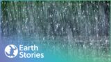 How Does Rain Actually Work? | Rain: The Untold Story | Earth Stories