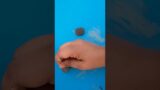 How make Terracotta stud earrings #youtubeshorts #shorts #viral #diy