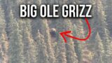 How to Hunt in Grizzly Country & Tips to Stay Safe!