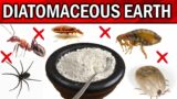 How to Use Diatomaceous Earth for Pest Control – FLEAS, TICKS, BEDBUGS, COCKROACHES, DOGS & CATS…