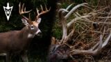 Hunting's Hardest Lessons, EHD Claims GIANT 180”+ Buck #deerhunting #hunting