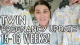 Identical Twin Pregnancy Update | 15 Weeks & High Risk Doctor's Appointment